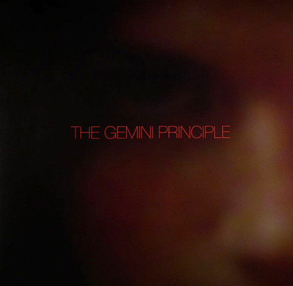 D-Bridge - The Gemini Principle