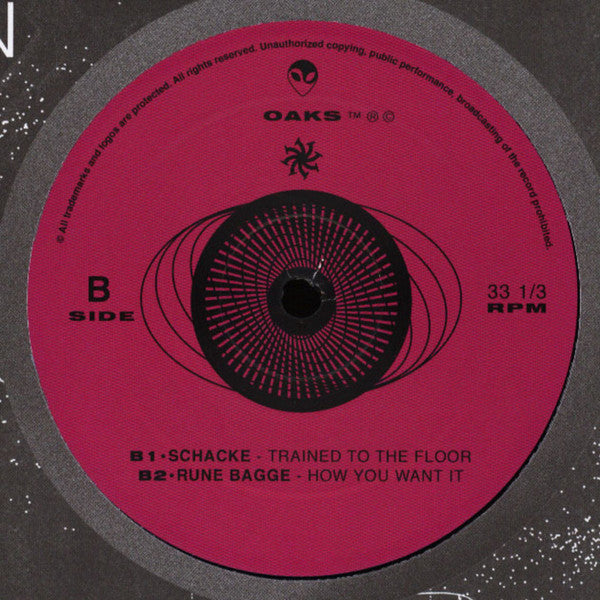 Various – Feeding The Chaos